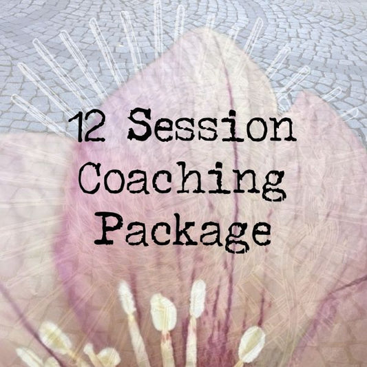 12 Session Coaching Package - Craft A Life You Love