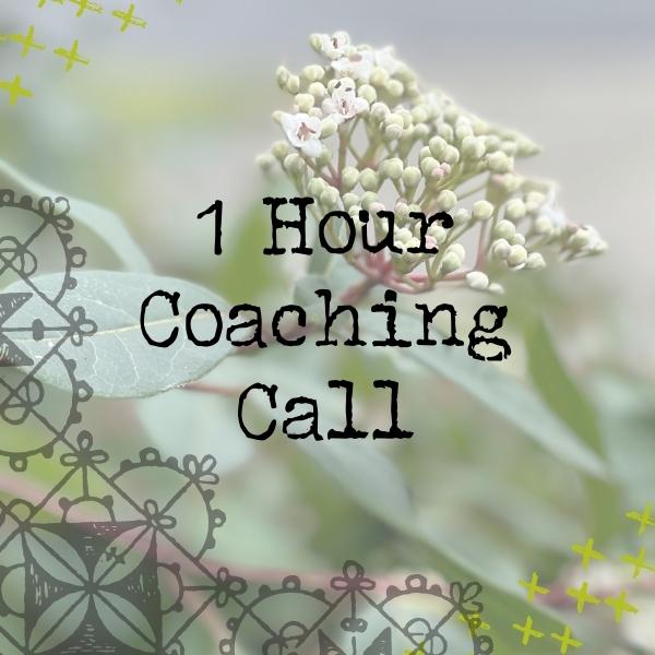 1 hour coaching call